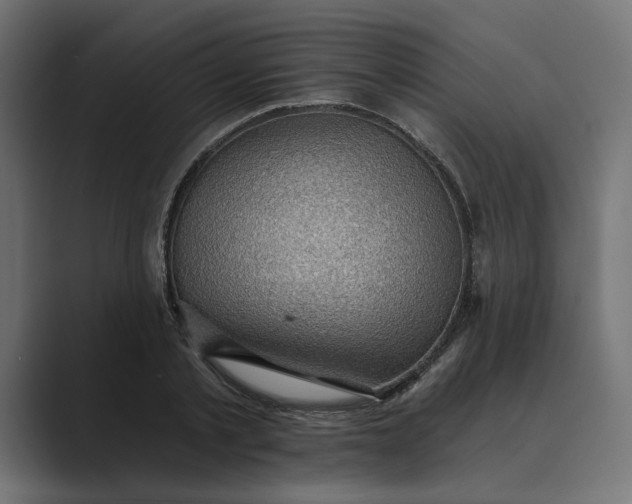 X0000089380789200706291316