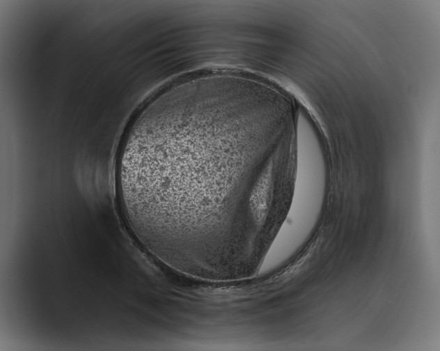 X0000089380791200706291316
