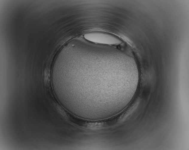 X0000089380793200706291316