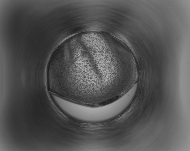 X0000089380795200706291316
