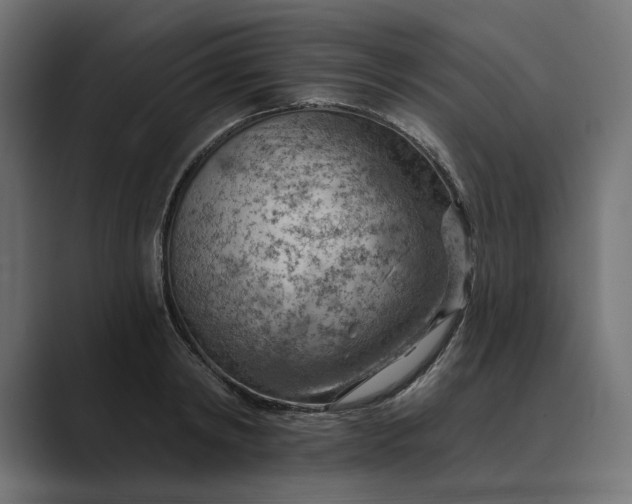 X0000089380798200706291316
