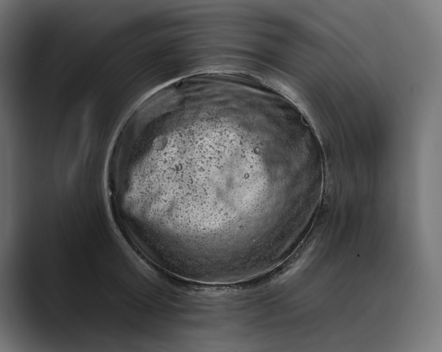 X0000089380803200706291316