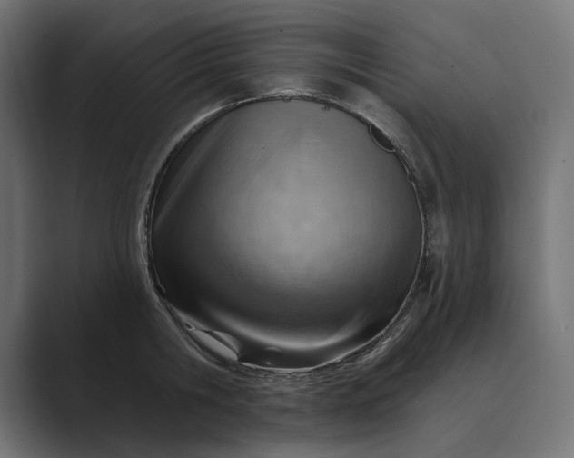 X0000089380806200706291316