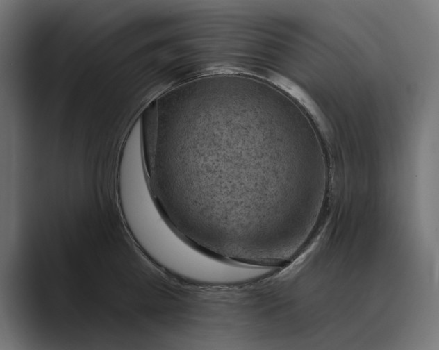 X0000089380809200706291316