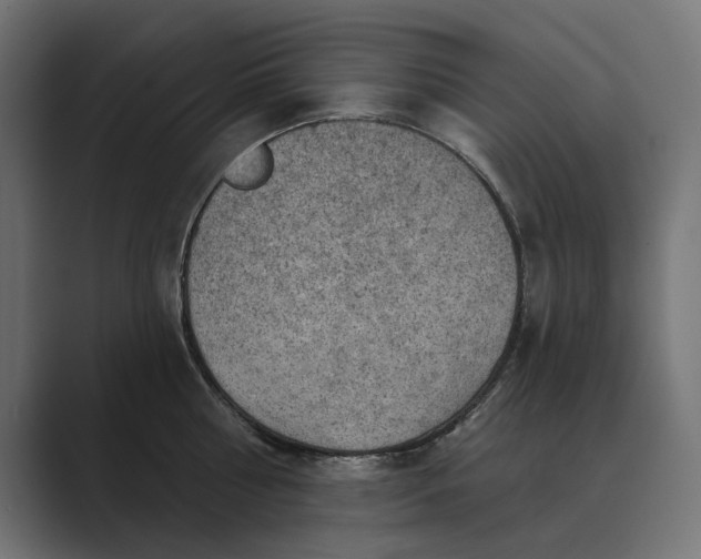 X0000089380810200706291315