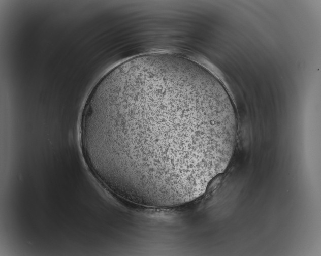 X0000089380811200706291315
