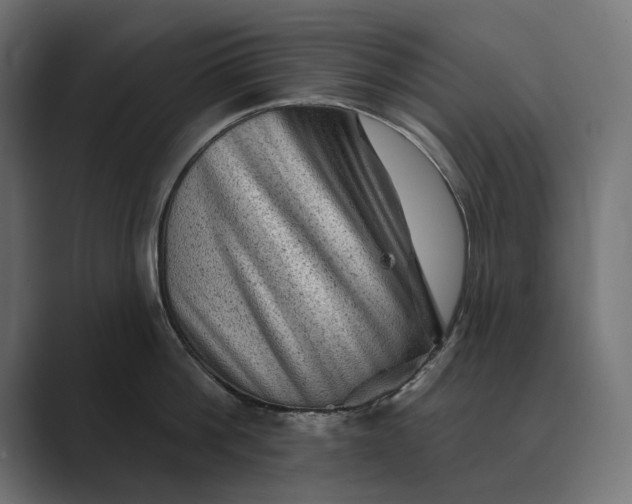 X0000089380812200706291315