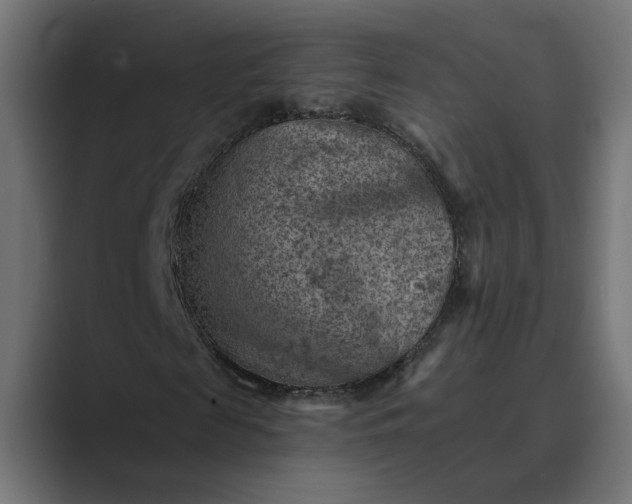 X0000089380817200706291315