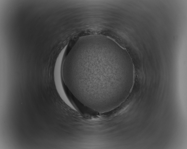 X0000089380818200706291315