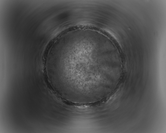 X0000089380823200706291315