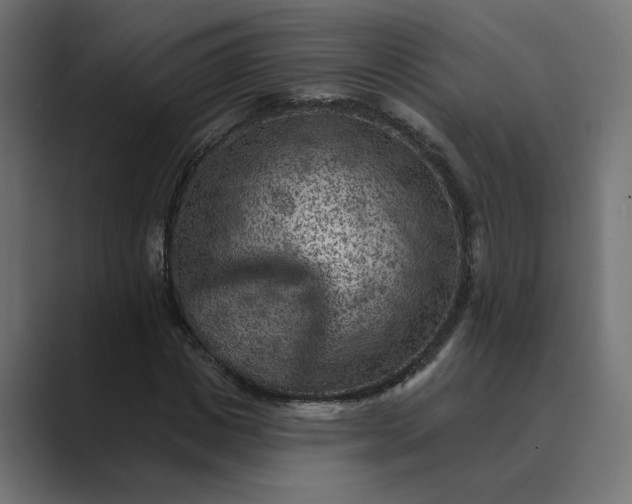 X0000089380825200706291315