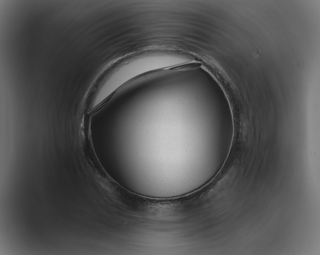 X0000089380830200706291315