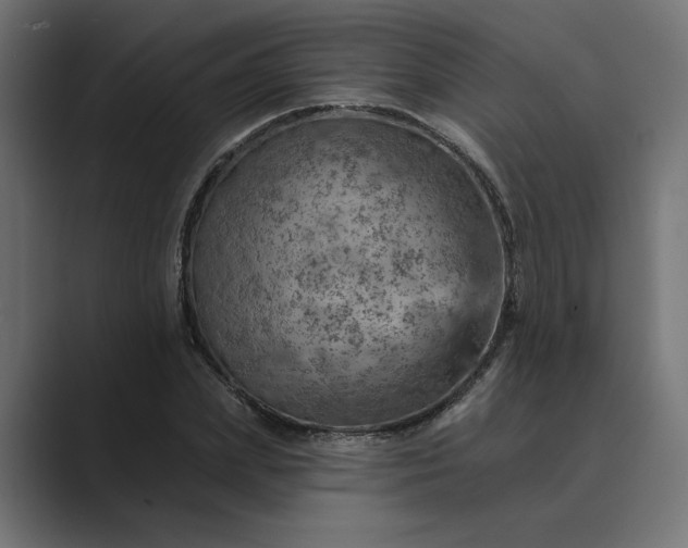 X0000089380831200706291315