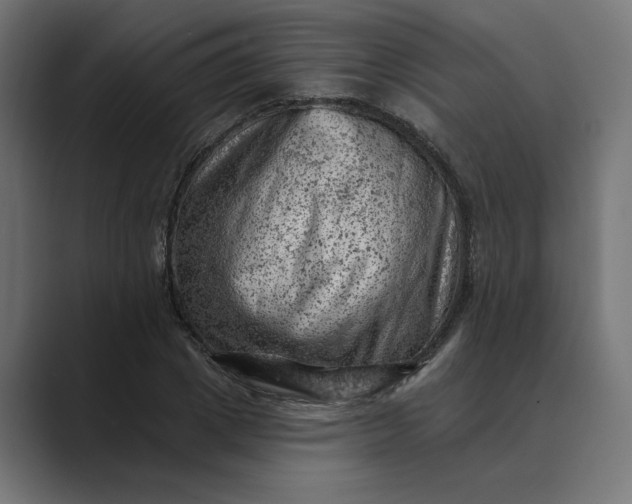 X0000089380833200706291315