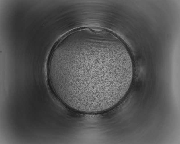 X0000089380840200706291315