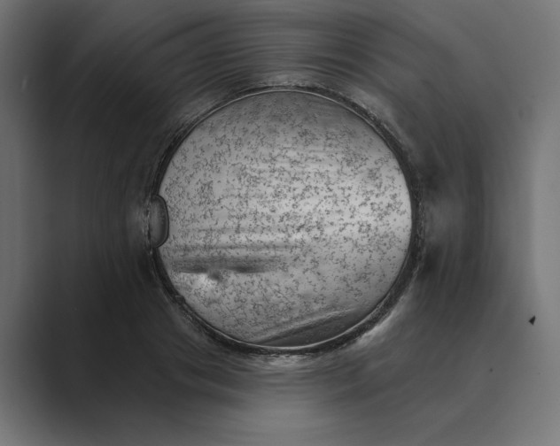 X0000089380841200706291315