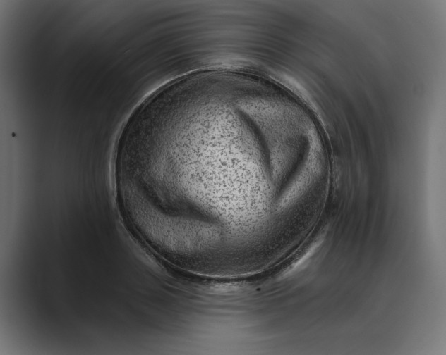 X0000089380843200706291315