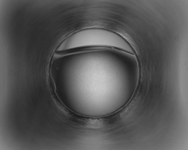 X0000089380850200706291315