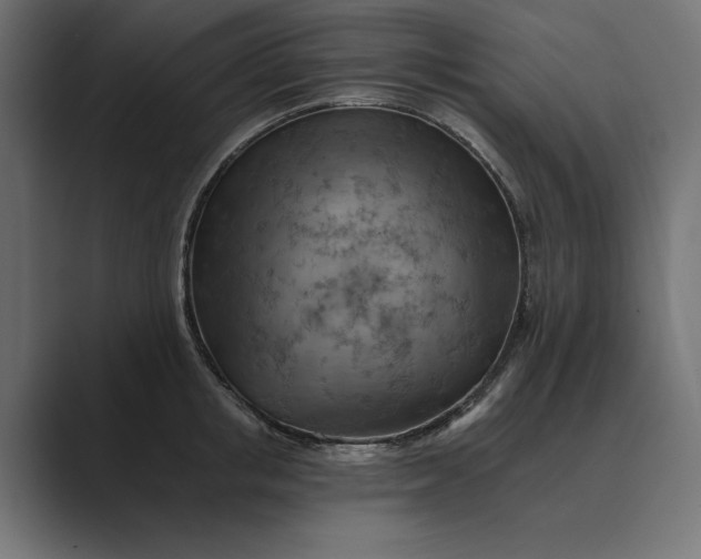 X0000089380853200706291315