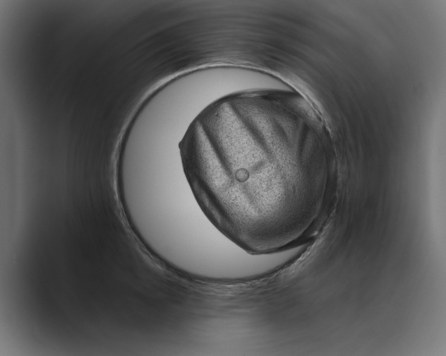 X0000089380854200706291315