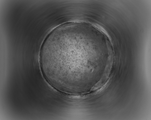 X0000089380855200706291315