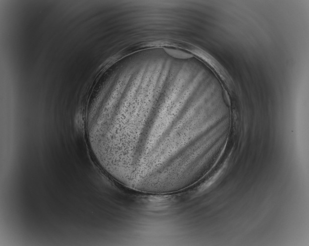 X0000089380857200706291315