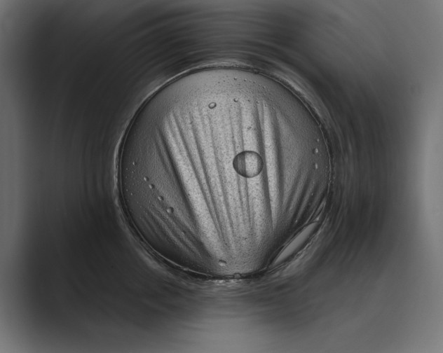 X0000089380858200706291315