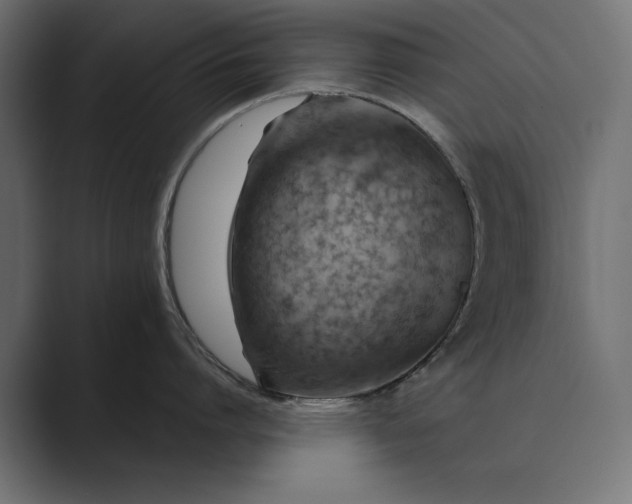X0000089380864200706291315