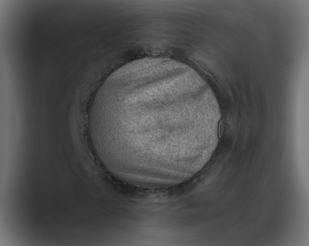 X0000089380865200706291315