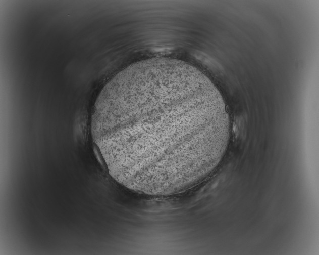 X0000089380867200706291315