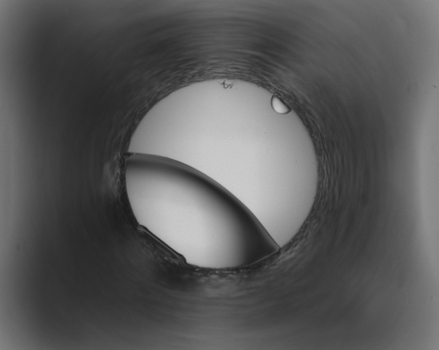 X0000089380868200706291315