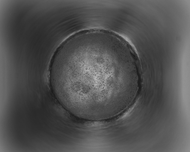 X0000089380879200706291315