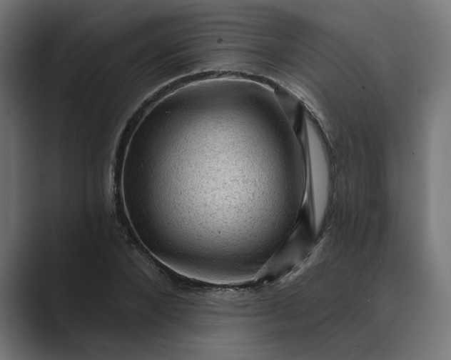 X0000089380880200706291315