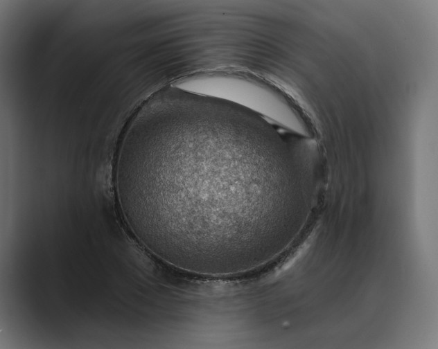 X0000089380881200706291315