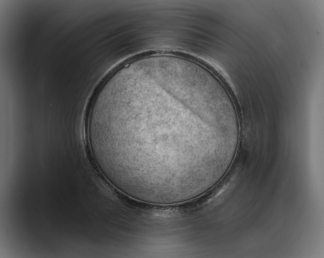 X0000089380887200706291315