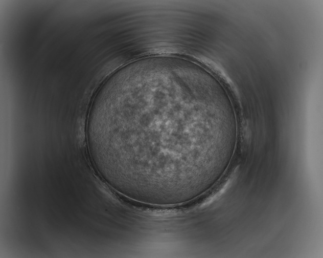 X0000089380889200706291315