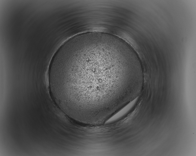 X0000089380891200706291315