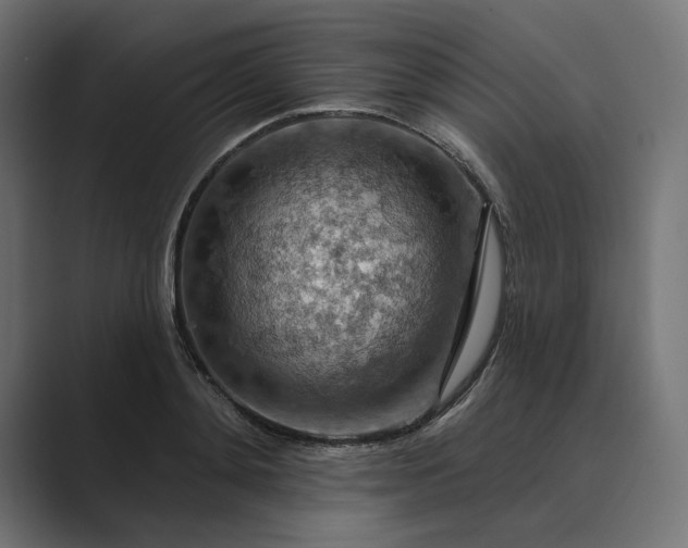 X0000089380892200706291315