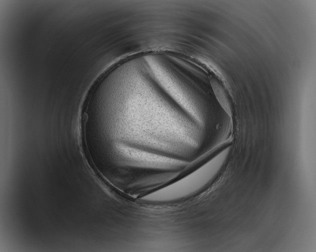 X0000089380894200706291315