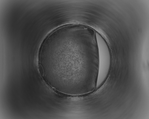X0000089380896200706291314