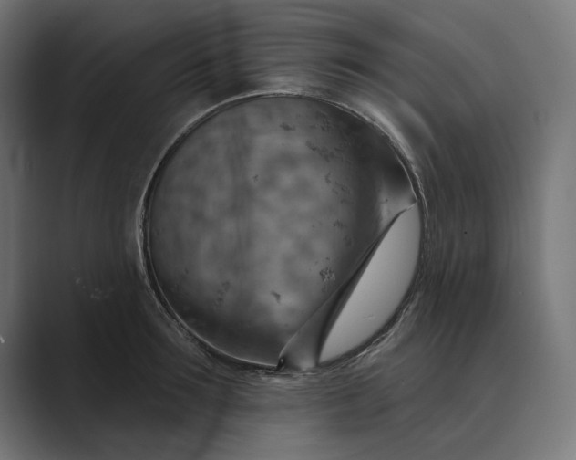 X0000089380899200706291314