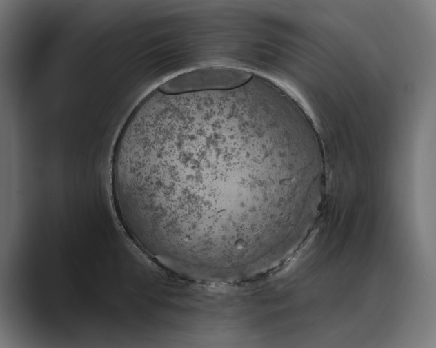 X0000089380903200706291314