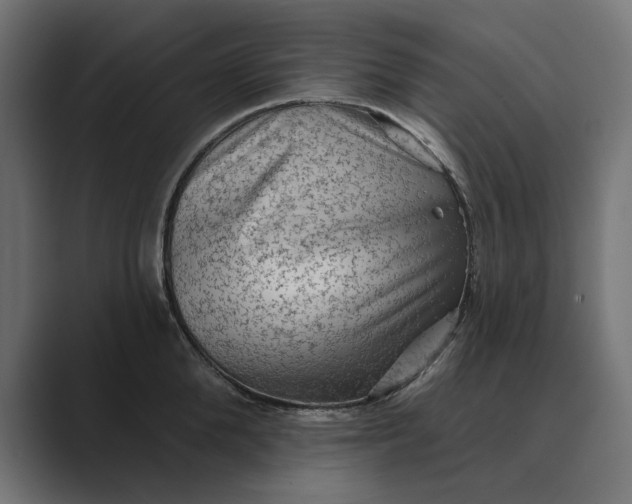 X0000089380904200706291314