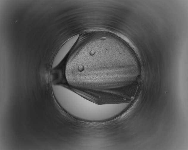 X0000089380905200706291314