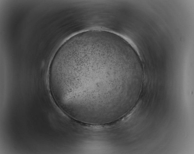 X0000089380911200706291314