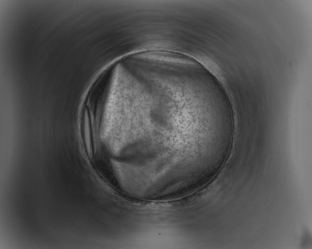X0000089380912200706291314