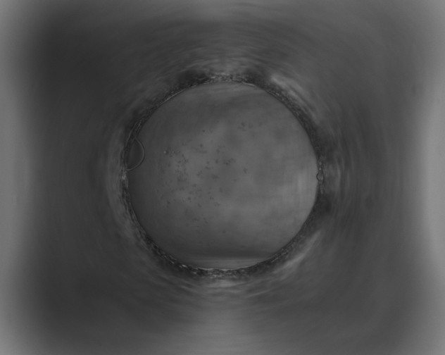 X0000089380913200706291314