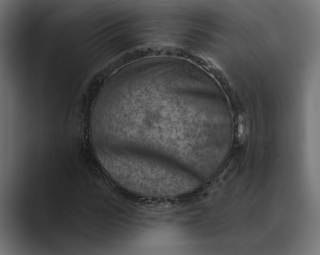X0000089380919200706291314
