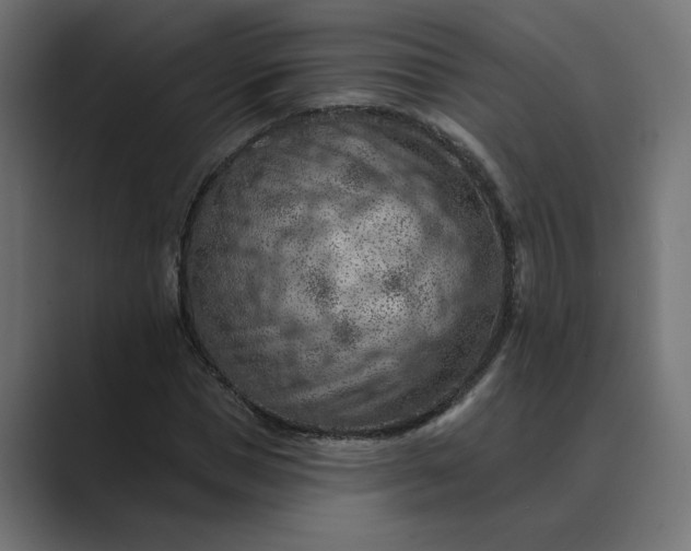 X0000089380921200706291314