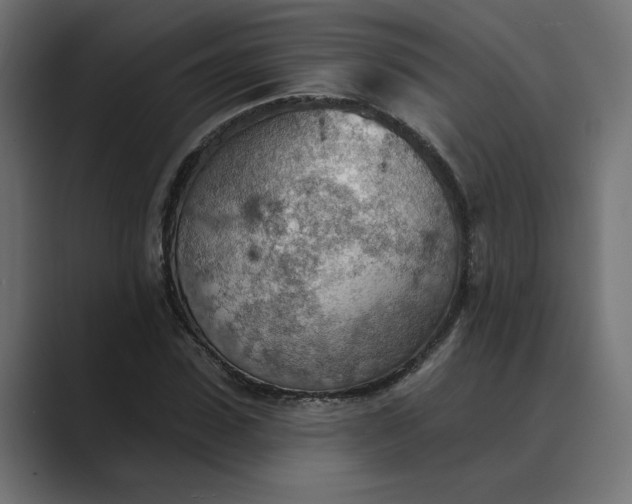 X0000089380923200706291314